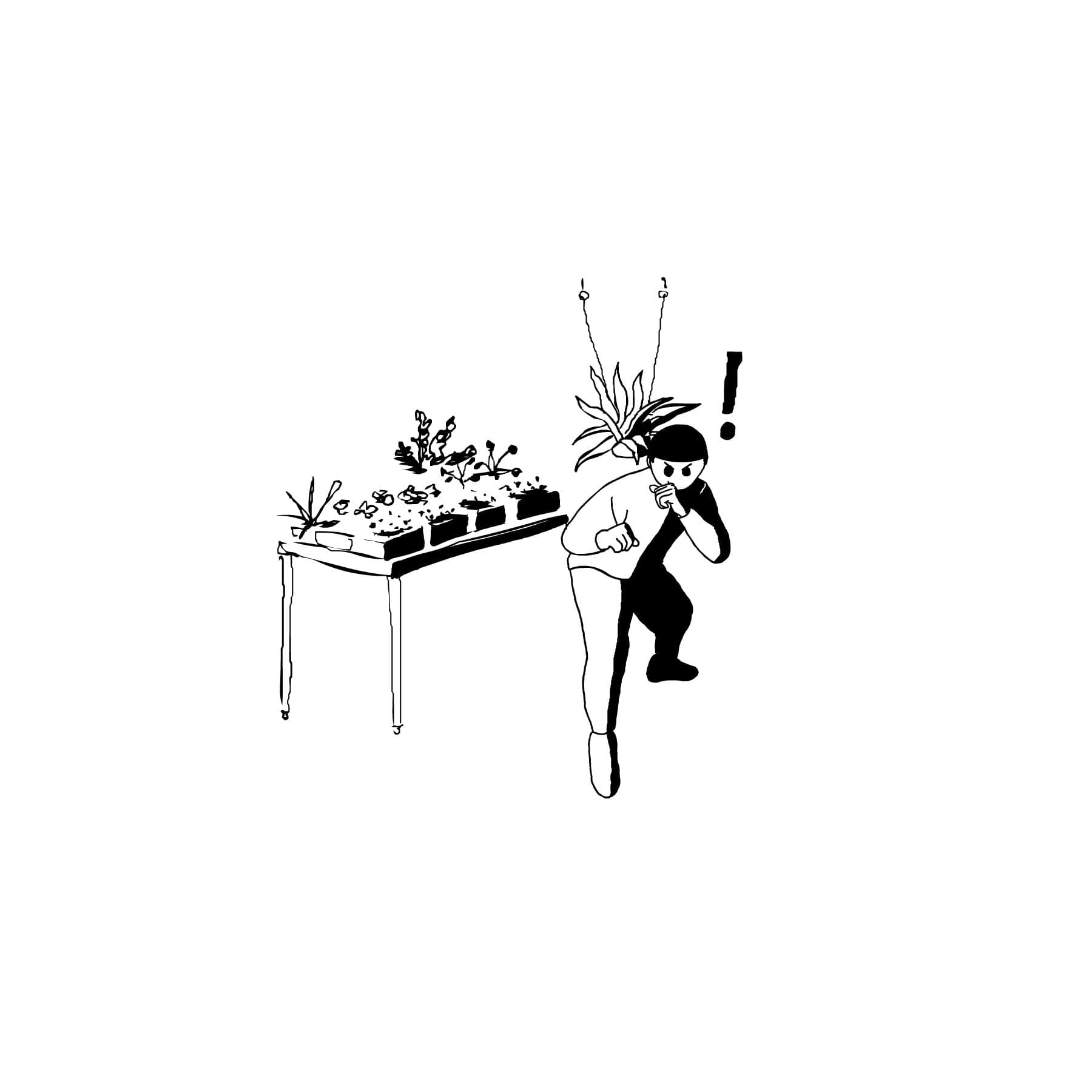 I’ve never seen a fistfight in a plant store.