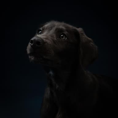 Cole was adopted!